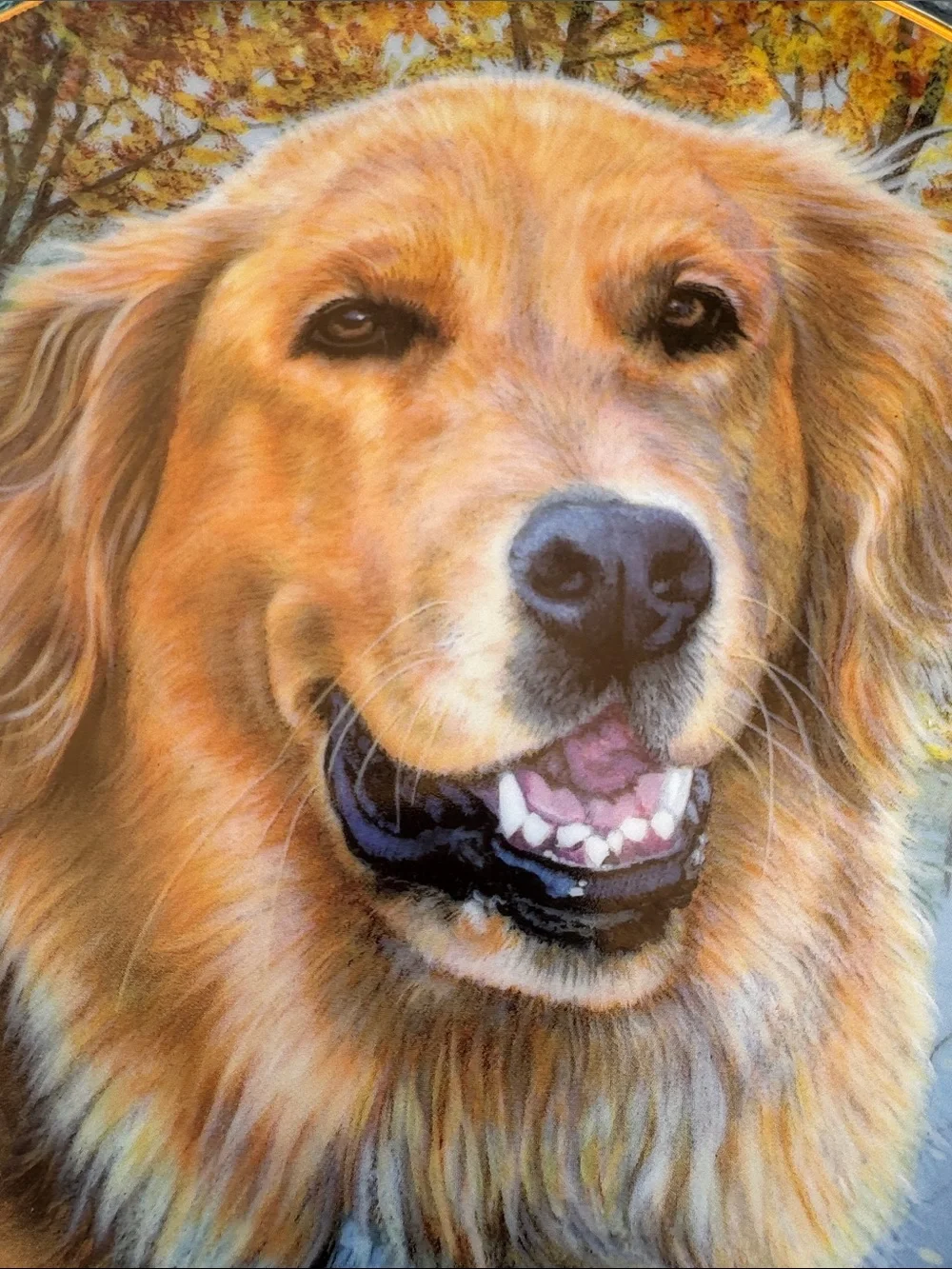Danbury Mint Golden Retriever Decorative Plate - Orange, Brown
